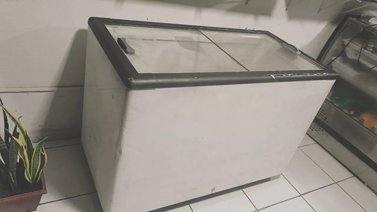 Freezer horizontal 