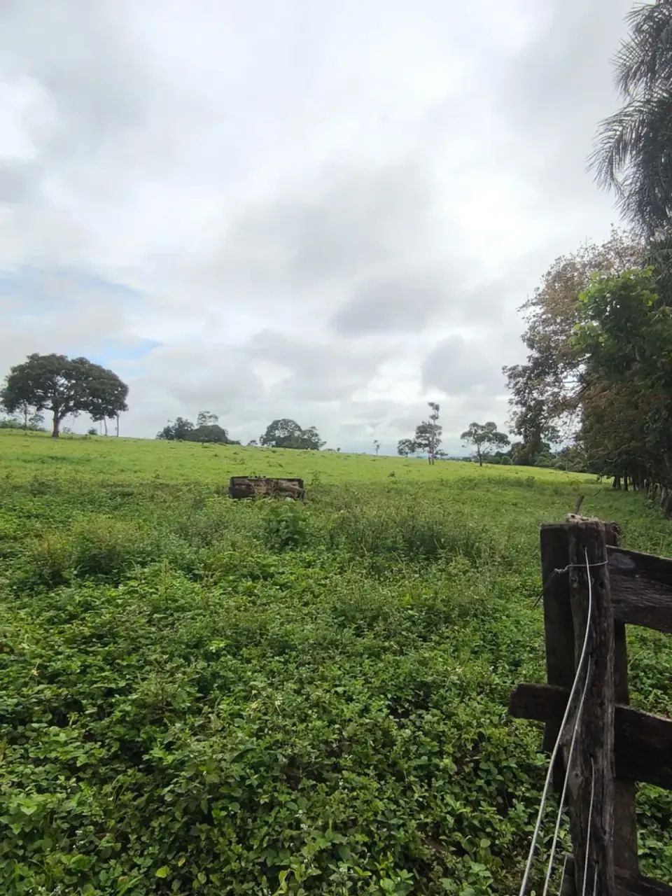 Fazenda - Taquaral (GO) - Foto 4
