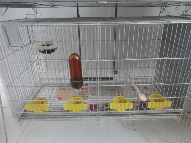 GAIOLA CRIADEIRA PARA CANÁRIOS DE COR E PORTE, AGAPORNIS, PERIQUITOS, ETC... - Foto 3