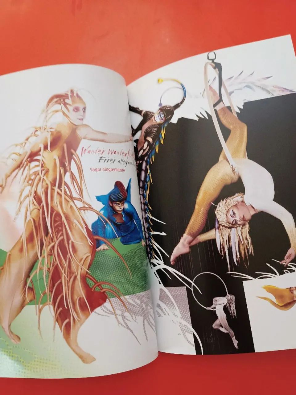 Programa Oficial Cirque Du Soleil Varekai Novíssimo  - Foto 3