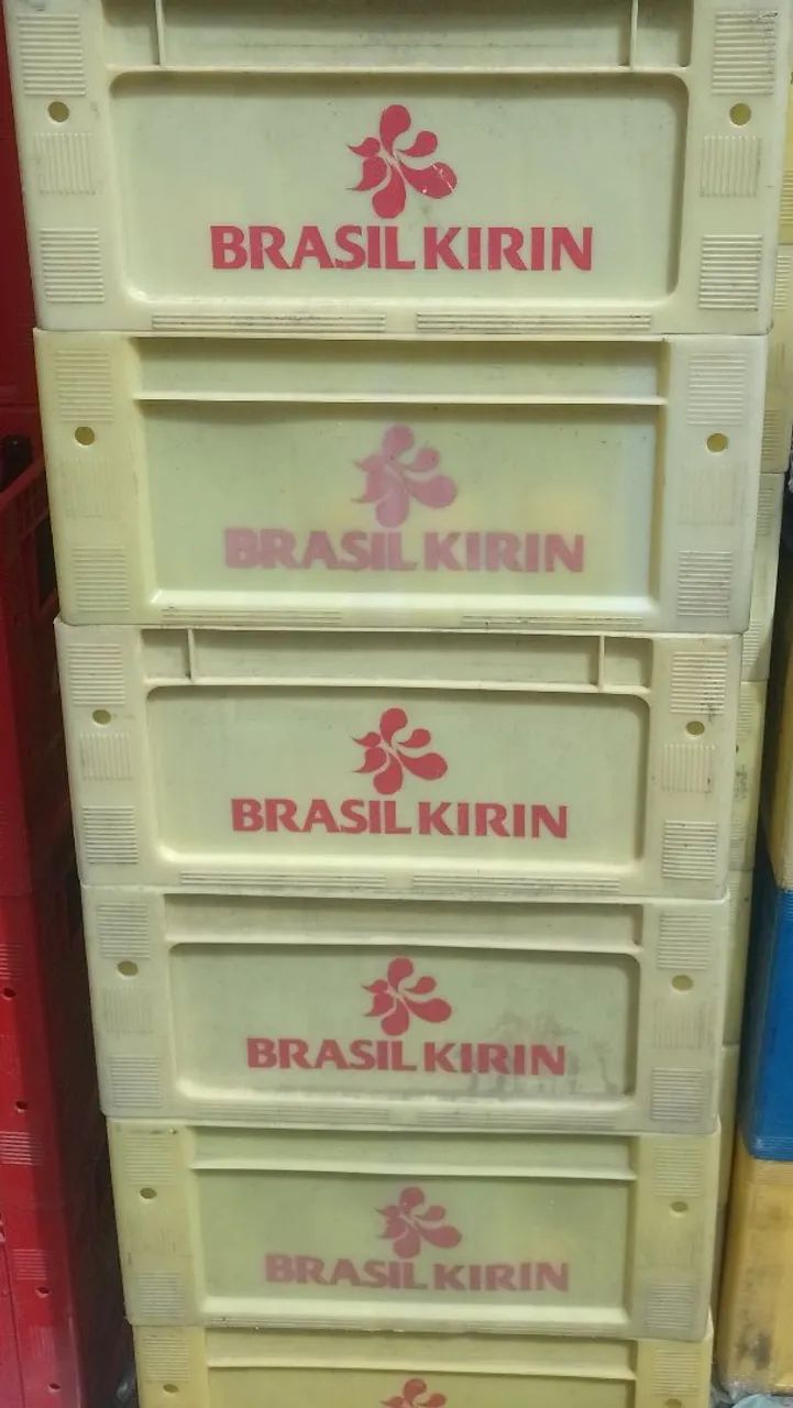 Caixa de litrinho devassa - Foto 4