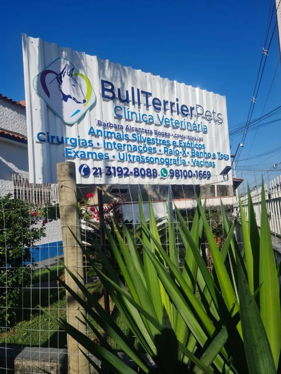 Passo Ponto - Clínica Veterinária 