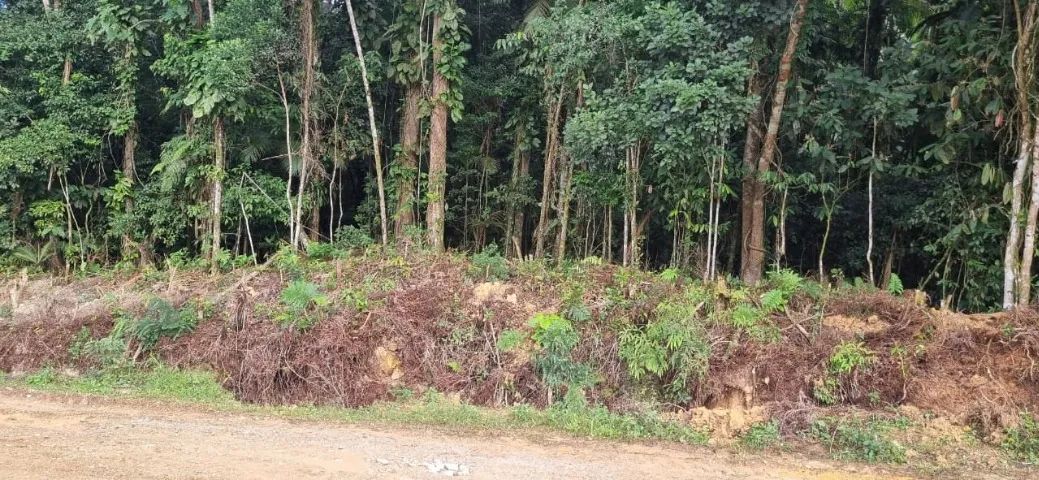 Vende-se amplo terreno no centro de Schroeder - Foto 2