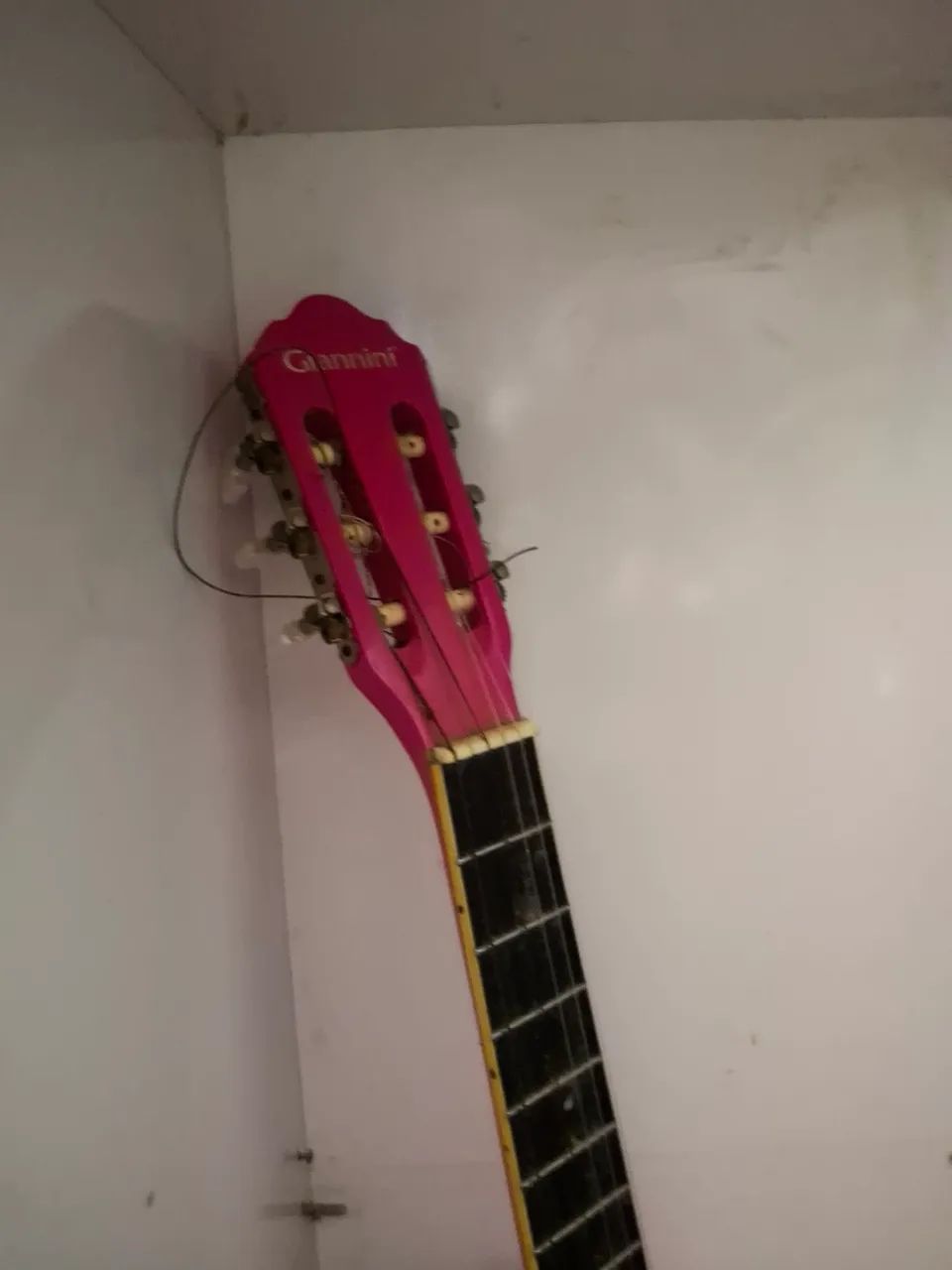 VIOLAO ROSA GIANINNI - Foto 2