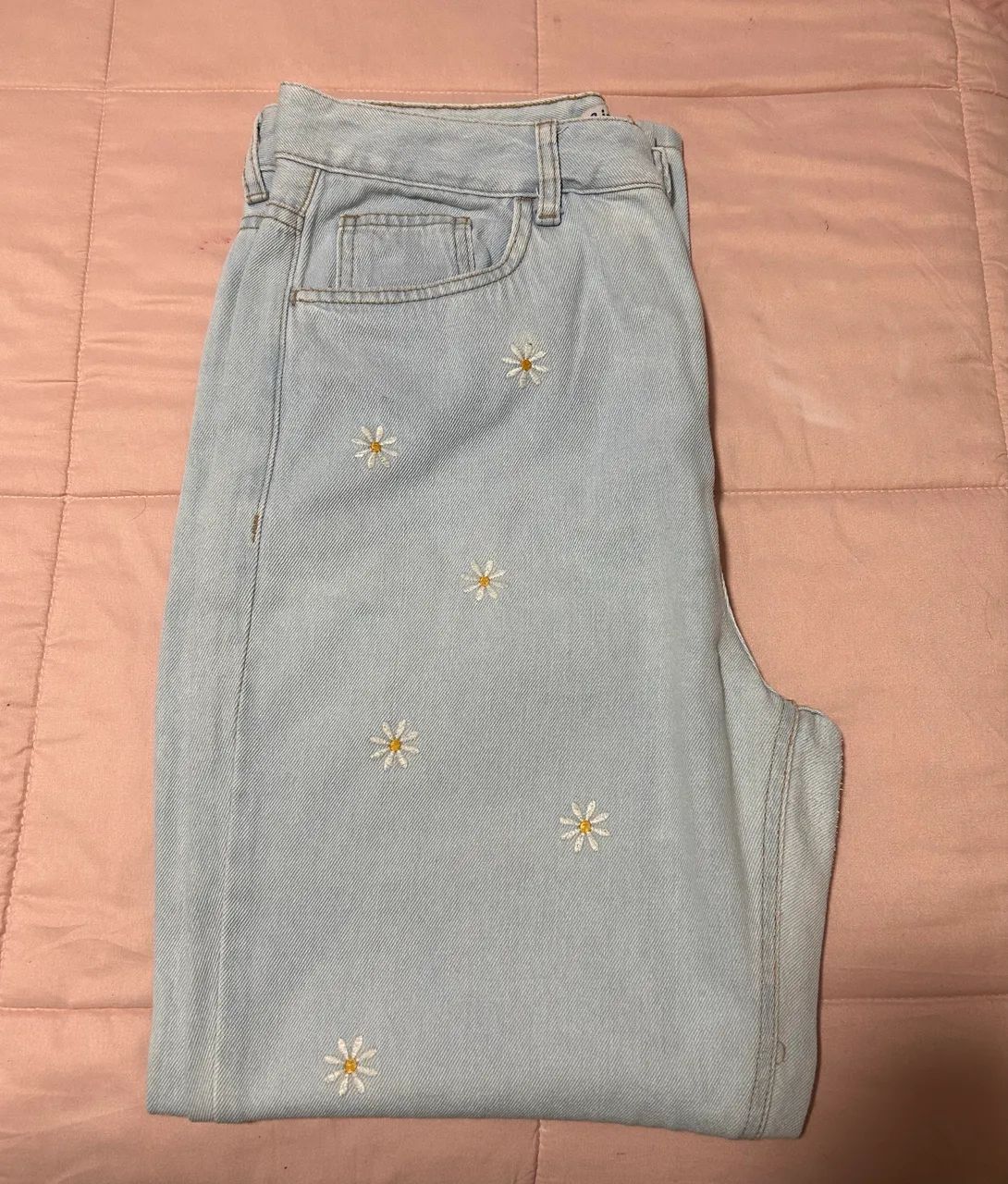     Calça jeans clara com bordado 