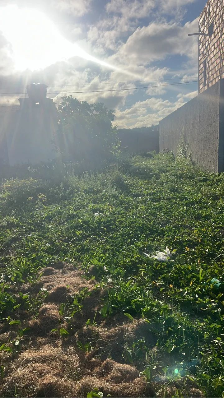 Foto - Barra de Santo Antônio - 
