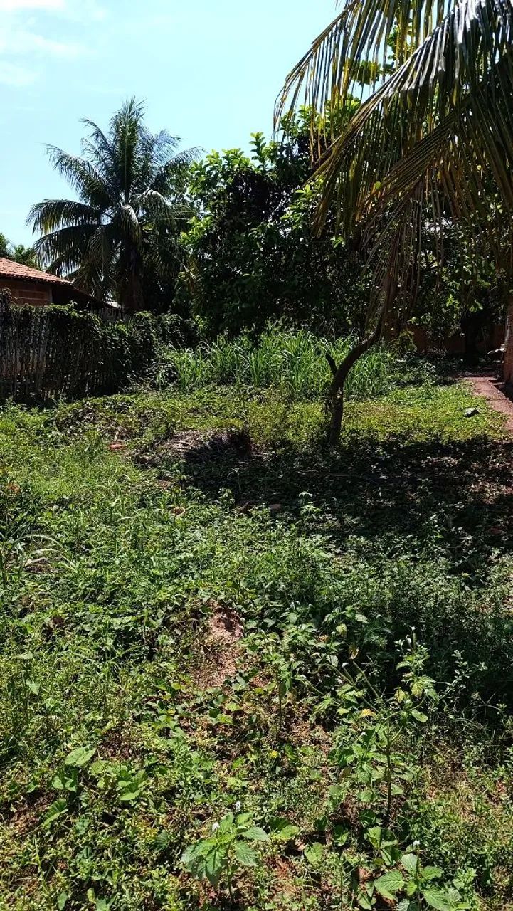 Lote  - Foto 4