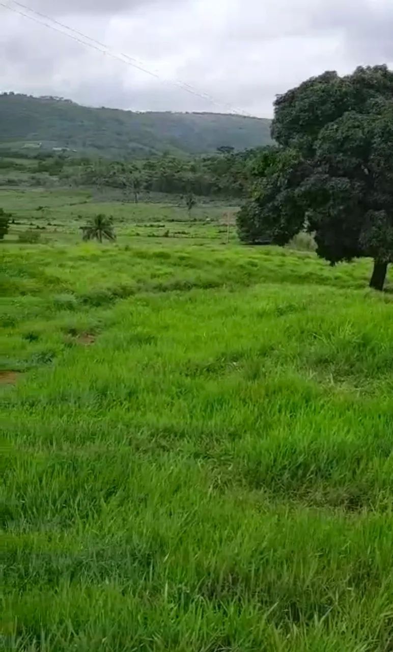 Sítio Disponível em Alagoa Grande  - Foto 3