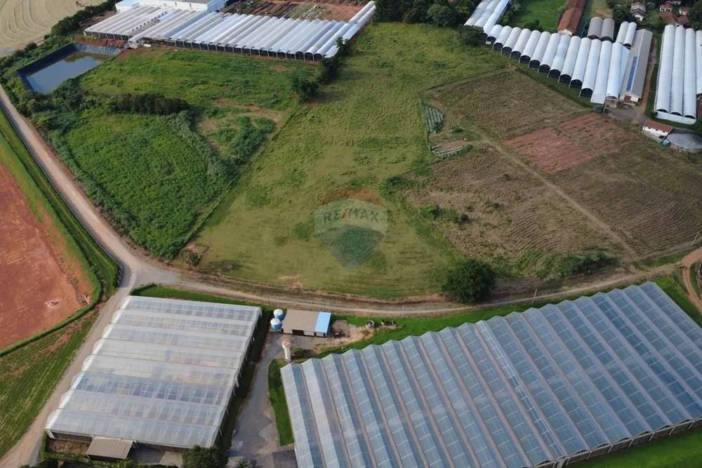 Terreno 20.000 m² planos a 5 km do centro de Holambra G3 - Foto 5