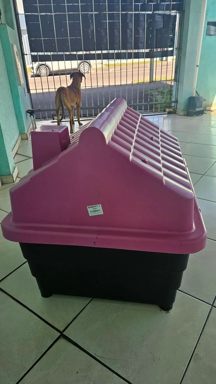 Casinha pra Cachorro 