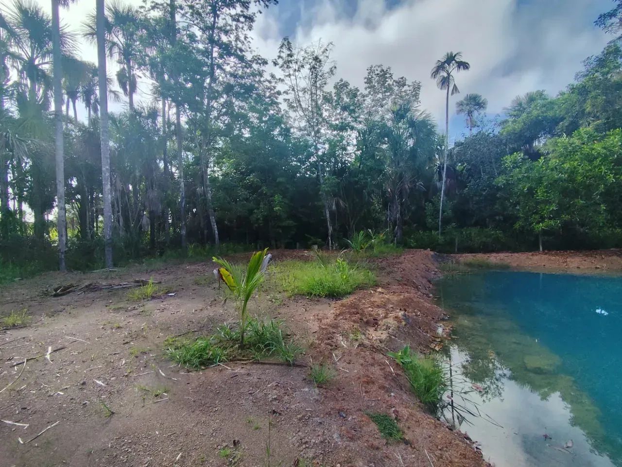 Lote a venda no Terra Nova Bosque - Macapá - AP - Foto 4