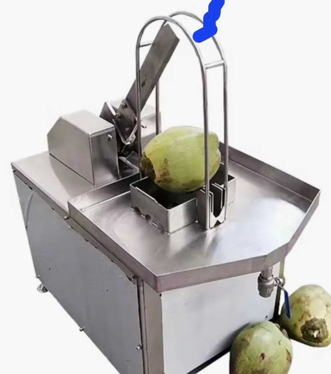 Máquina hidráulica automática para corte coco verde e seco - Foto 3