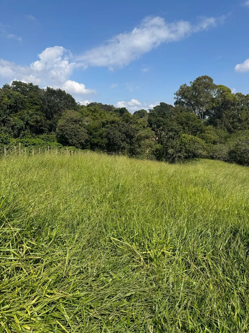 Terreno rural