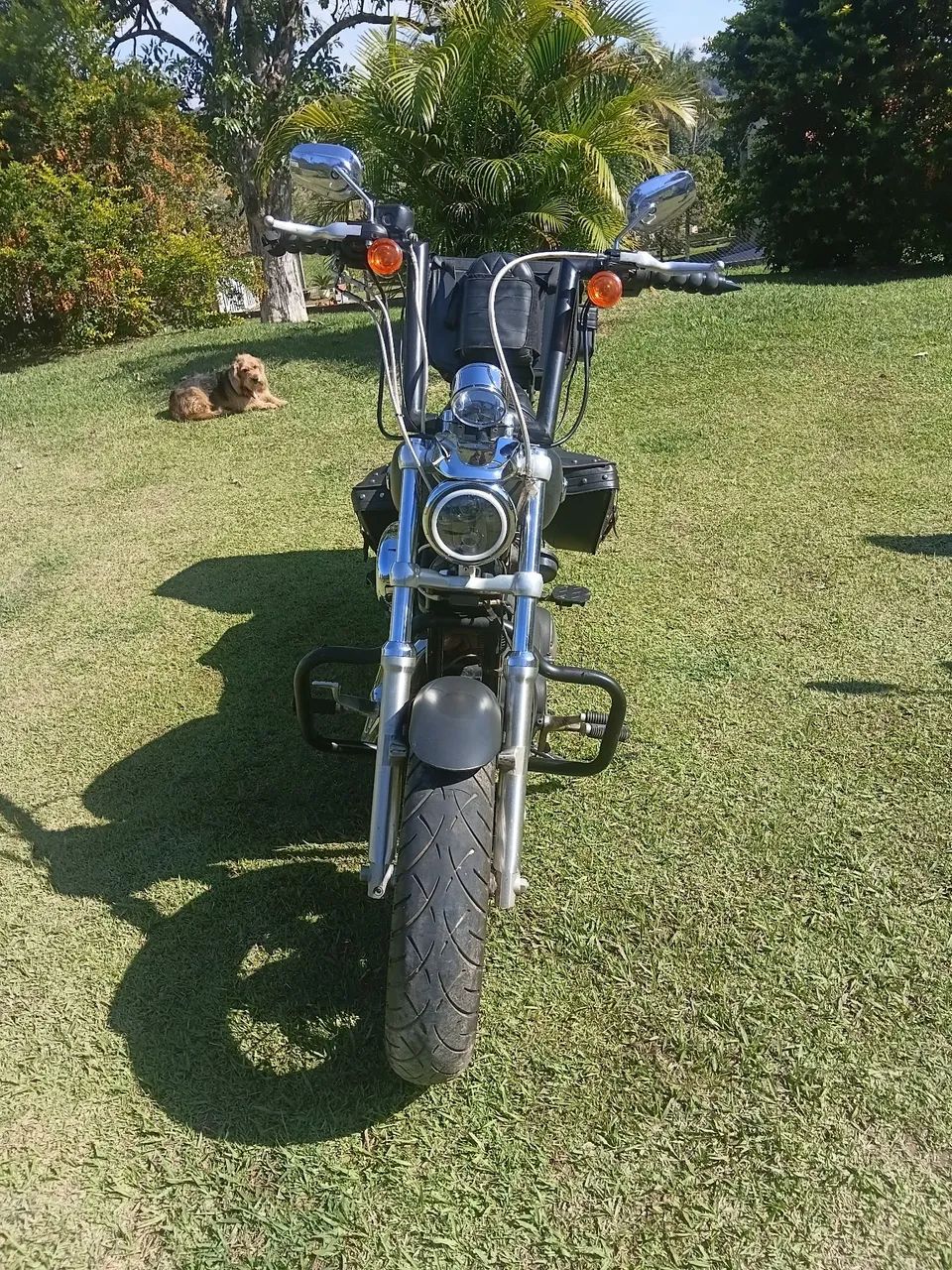 Harley Davidson 1200 CB - Foto 4