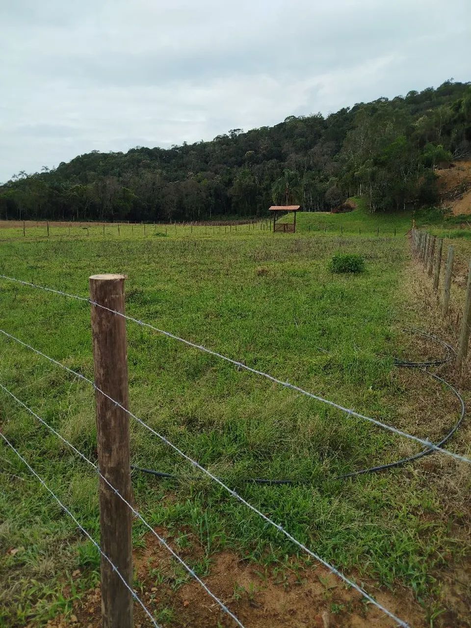  vendo Sítio em Santo Amaro da Imperatriz  - Foto 5