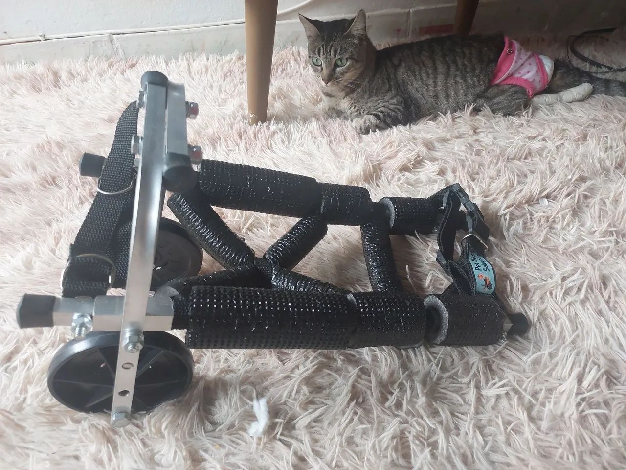 Cadeira de 2 rodas para gato ou cachorro deficiente  - Foto 4
