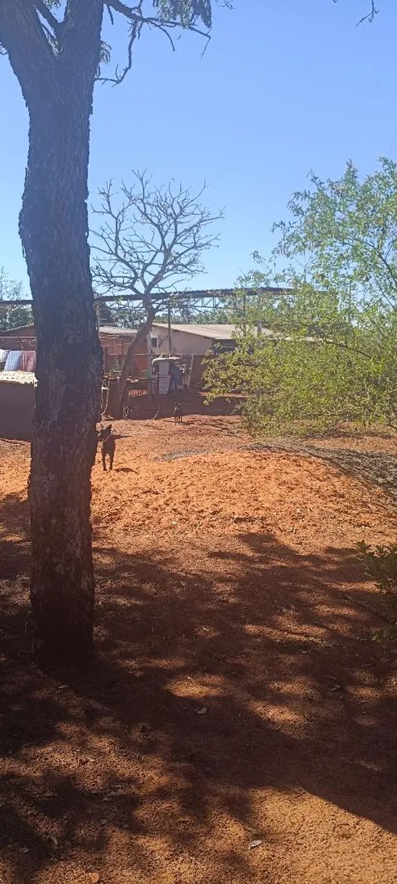 Terreno com casa de esquina com barracão - Foto 4