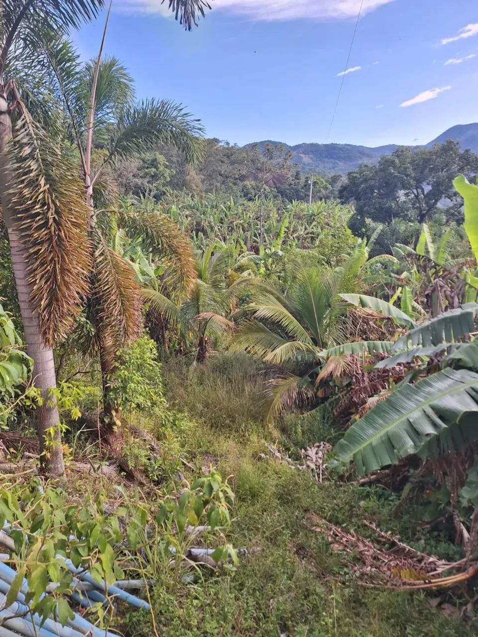 sitio com 60.000m² - Foto 5