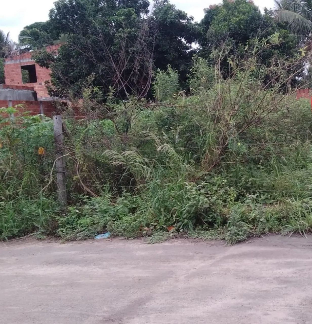 Lote  - Foto 2