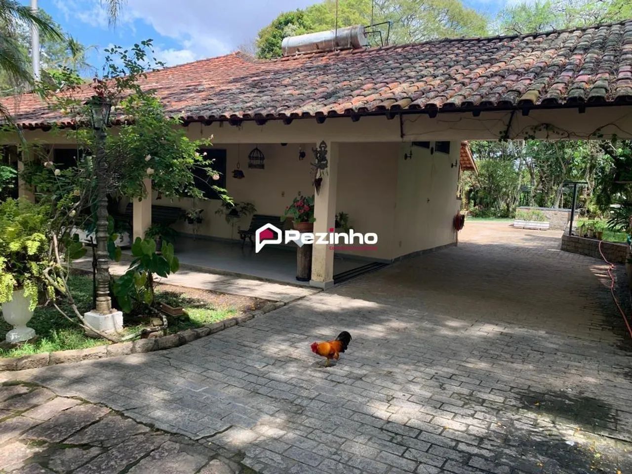 Sítio à venda em Limeira, Bairro dos Pires, com 3 quartos, com 130000 m² - Foto 5