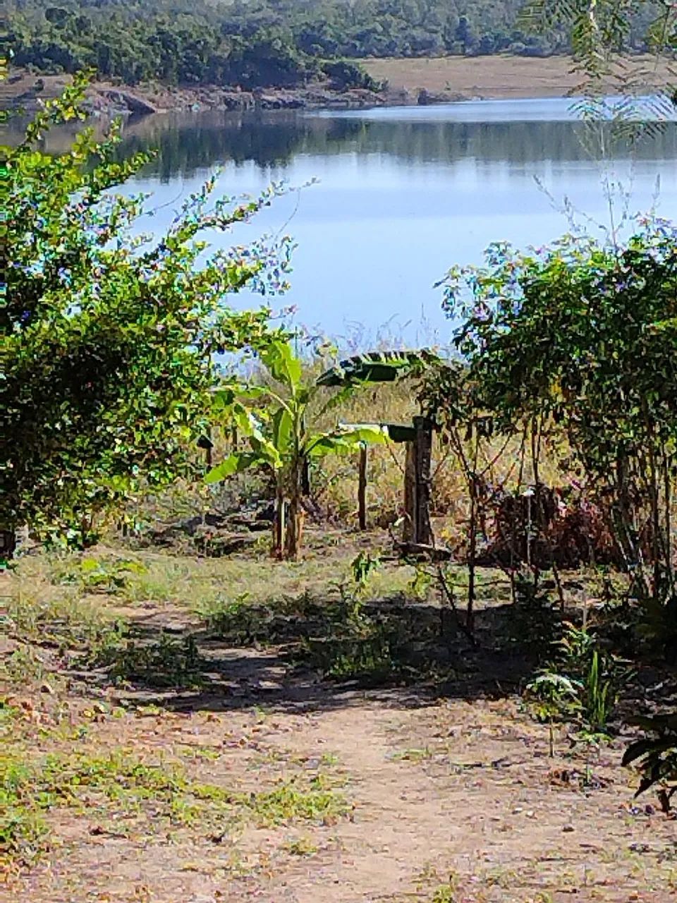 Chácara  - Foto 5