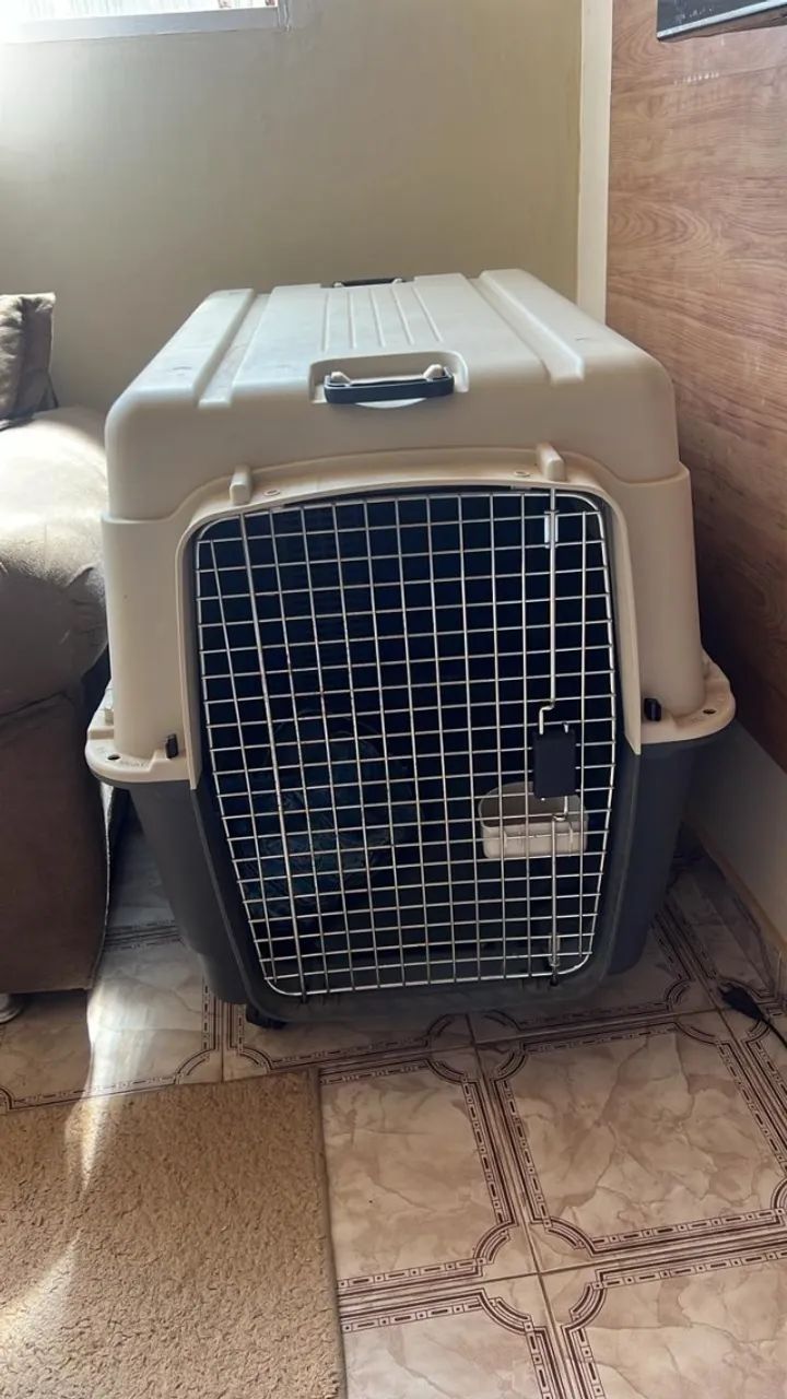 Caixa de transporte de cachorro  - Foto 2