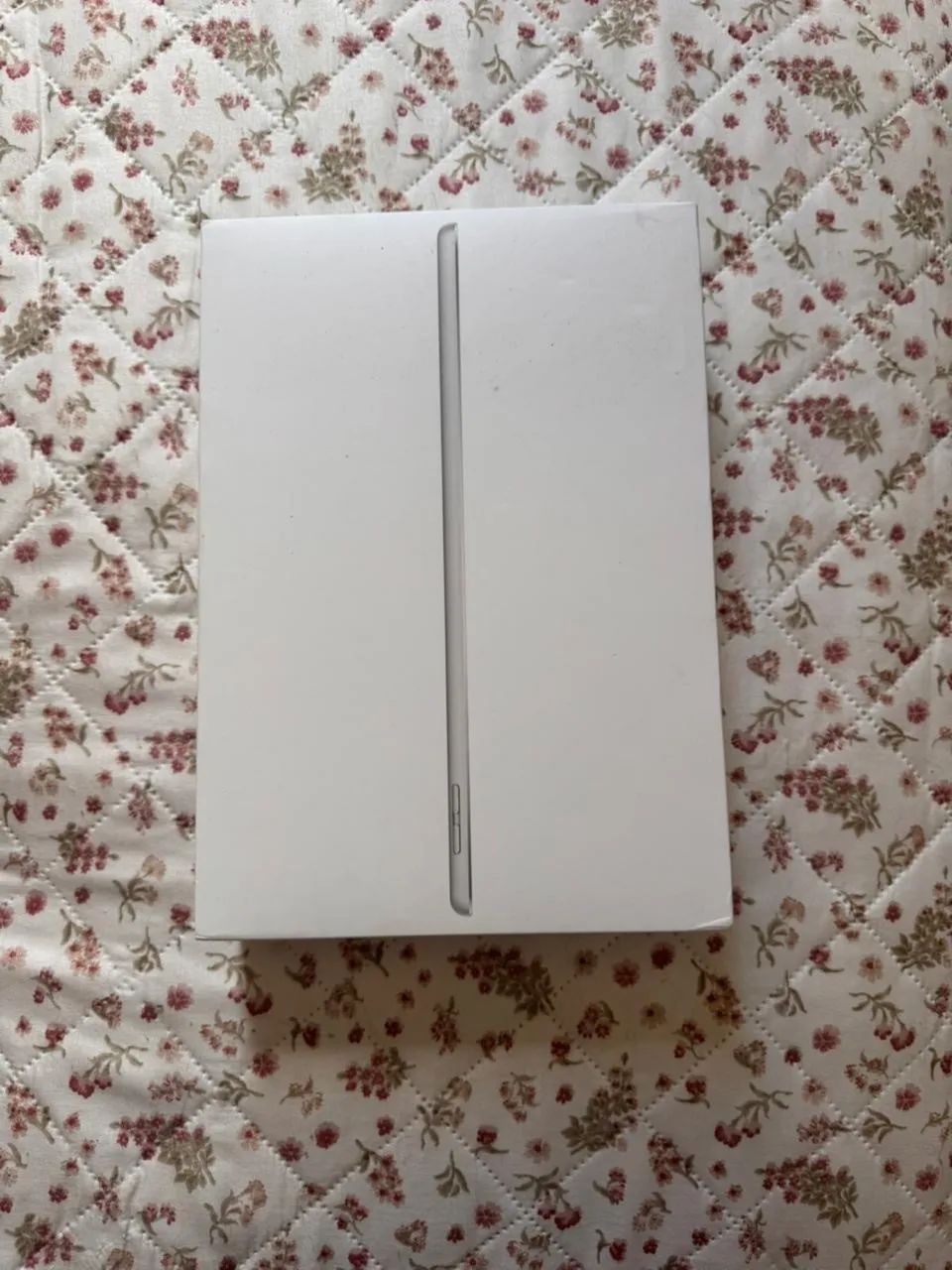 iPad 9ª Geração (Cor Prata) - Foto 5