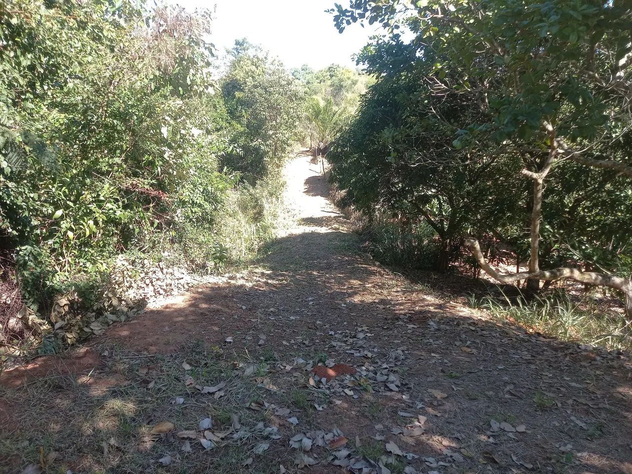 Terreno em Seropédica  - Foto 5