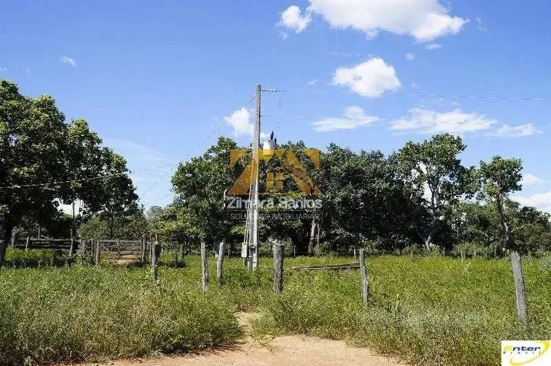 Fazenda - 681 hectares - São João da Aliança  Goiás - Foto 8
