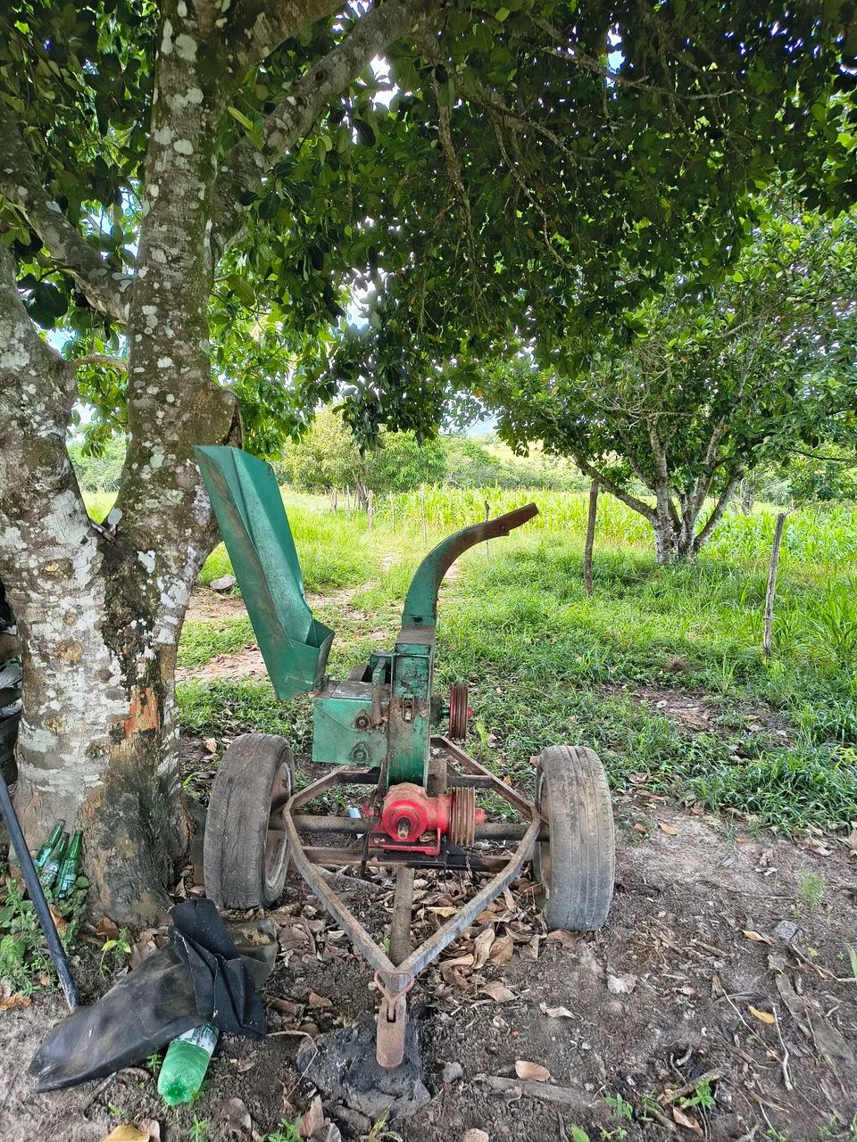 Ensiladeira EN6800 para Trator  - Foto 3