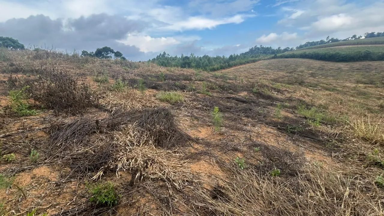 Terreno com Pinus em Agudos do Sul - Foto 3