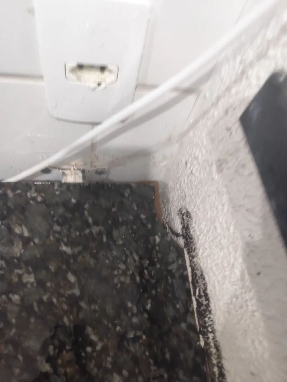 Pia65193314079745122