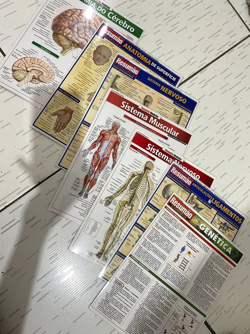 APOSTILA RESUMÃO DE MEDICINA 