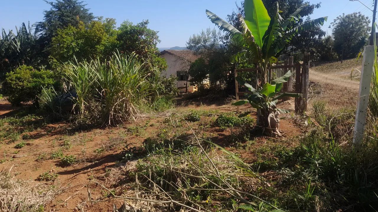 Chacara  - Foto 4