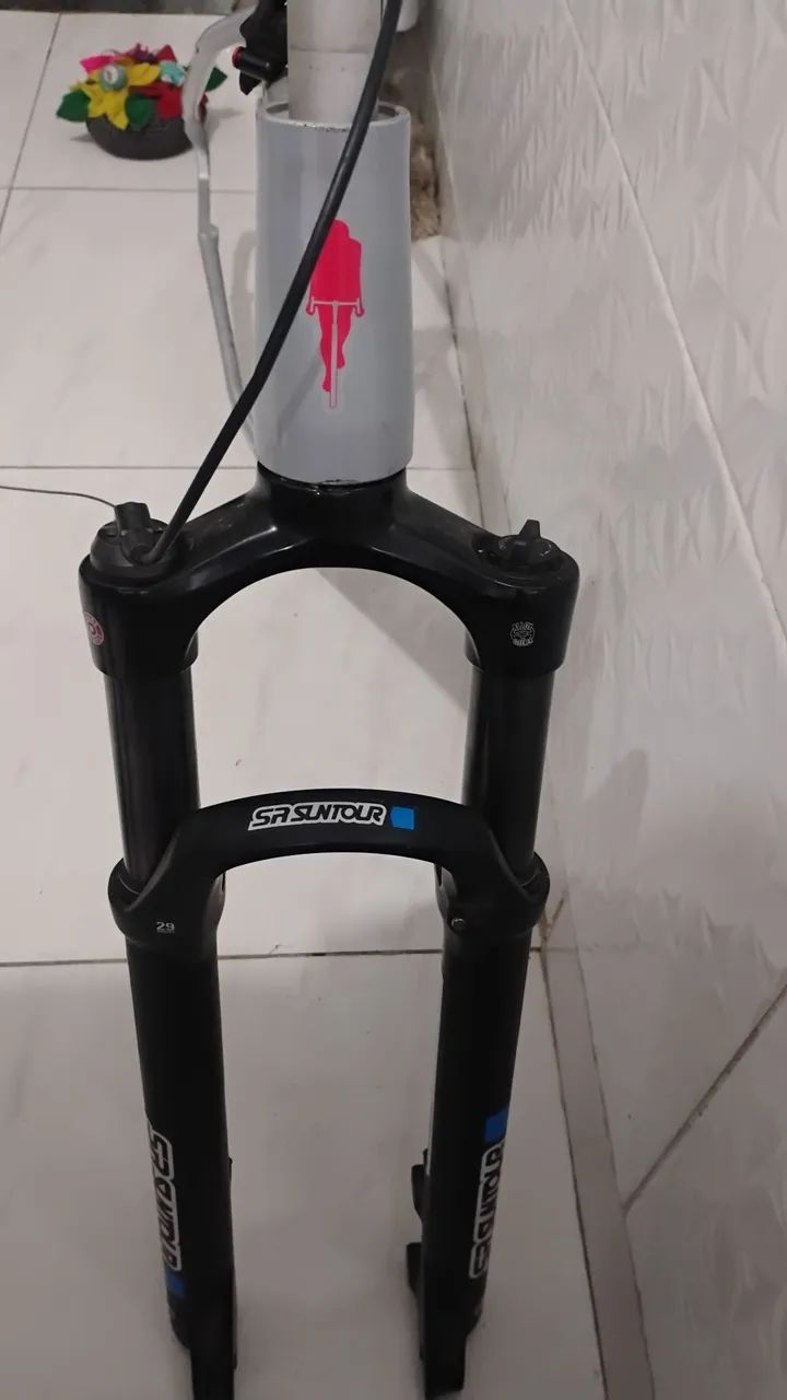 Quadro e garfo 29 - Foto 5