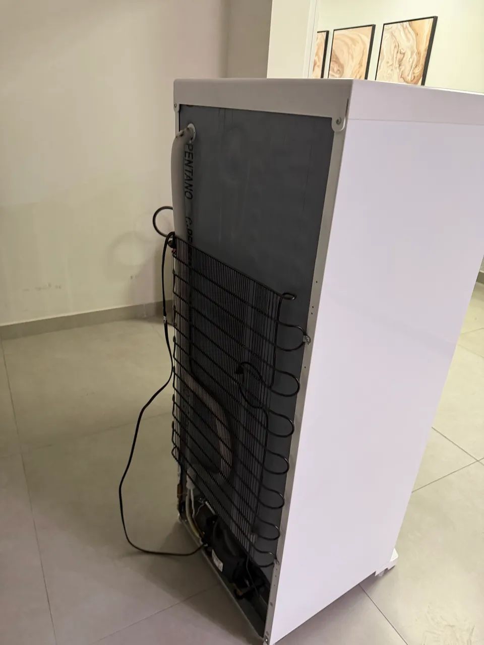 Geladeira Electrolux RE31 - Foto 2