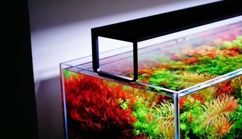 Luminária Led Netlea AT5S 545S Full Spectrum 45cm  - Foto 5