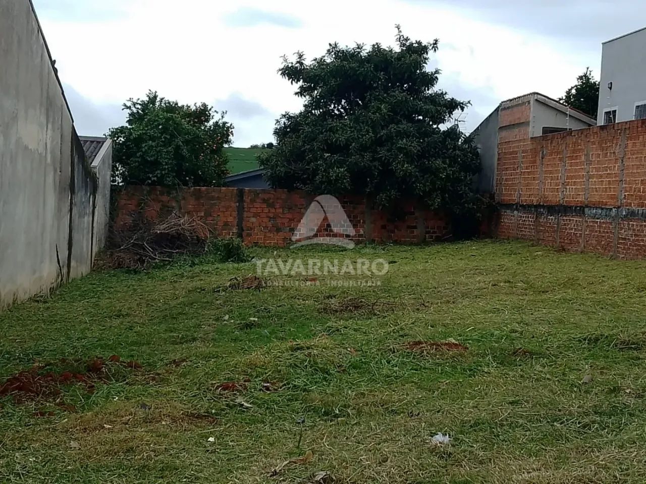 Terreno Padrão em Ponta Grossa - Foto 5