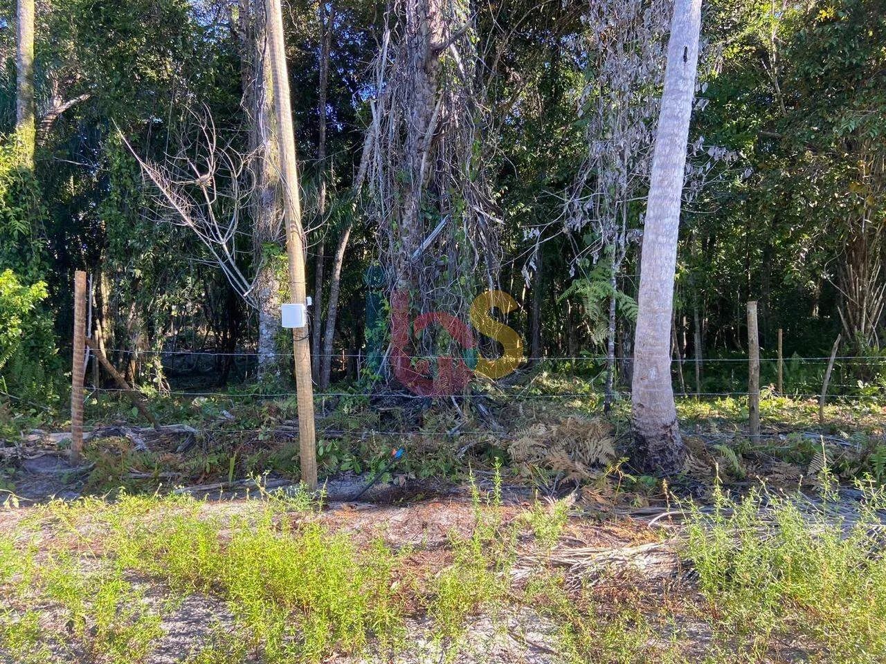 VENDO LOTE NO SARGI - Foto 4
