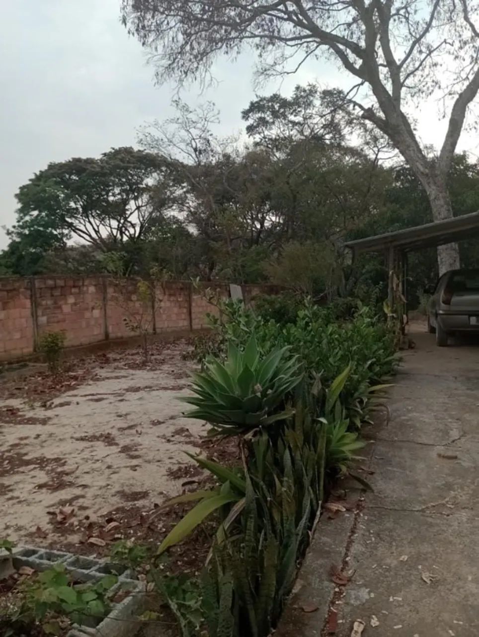 sitio - Foto 3