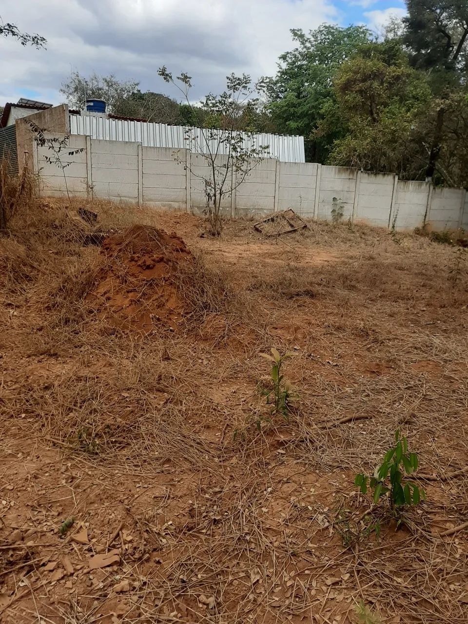 Foto - Pará de Minas - Centro