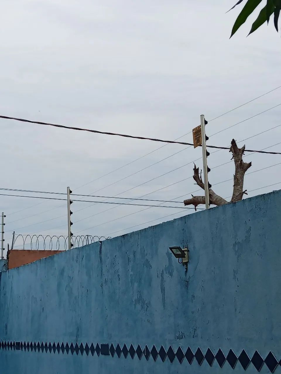 Cerca elétrica  - Foto 5