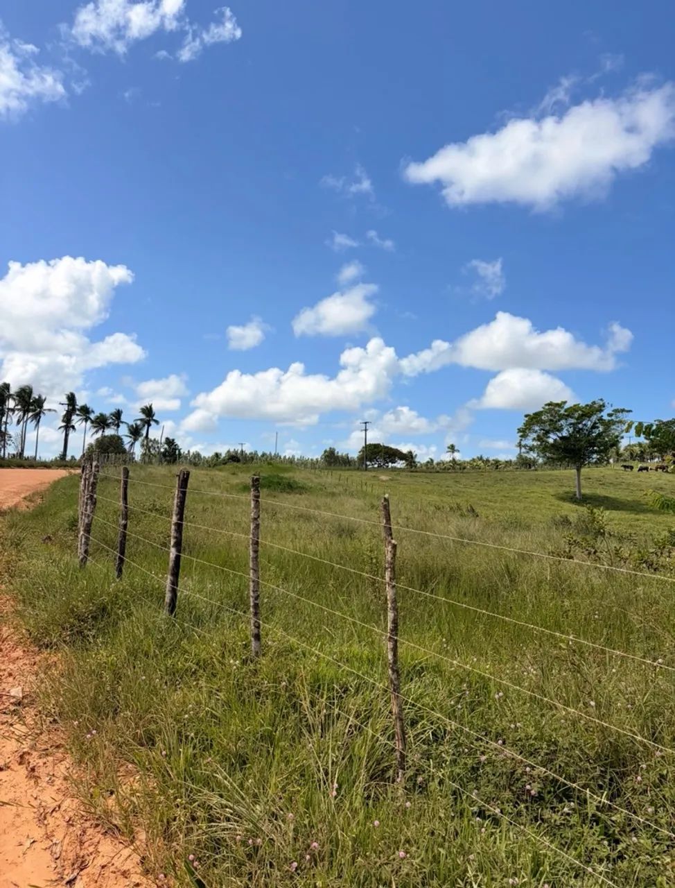Terreno em Estância - Foto 3