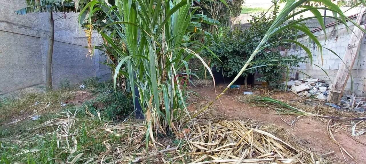 Lote à venda, Estoril - Belo Horizonte/MG - Foto 5