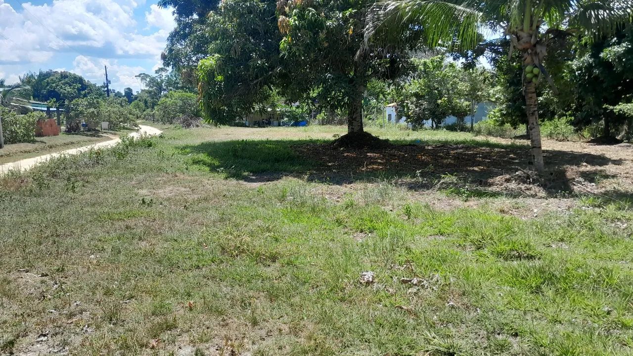 Vendo lote medindo 50x100  - Foto 4
