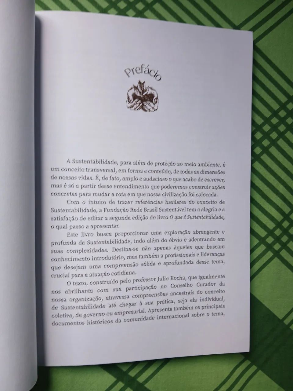Livro O que é sustentabilidade. - Foto 3