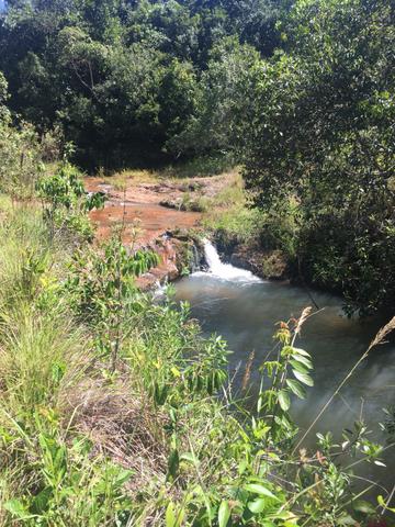 Fazenda em Frutal Minas Gerais Triângulo Mineiro - Foto 16