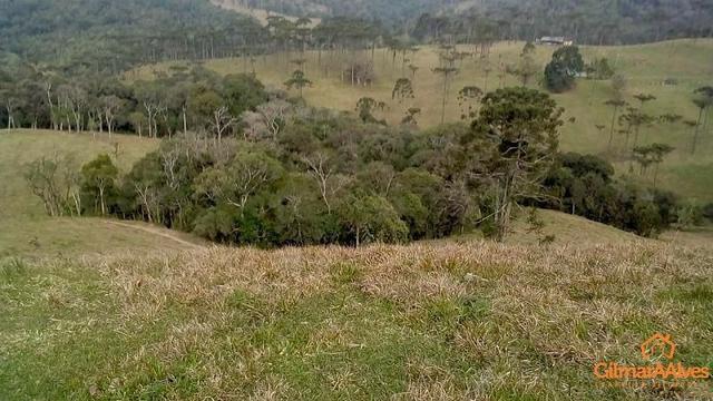 Fazenda para Venda, São Bento do Sul / SC, bairro Sertãozinho - Foto 6
