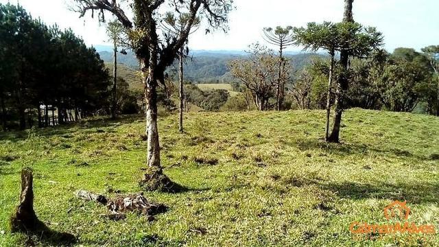 Fazenda para Venda, São Bento do Sul / SC, bairro Sertãozinho - Foto 12