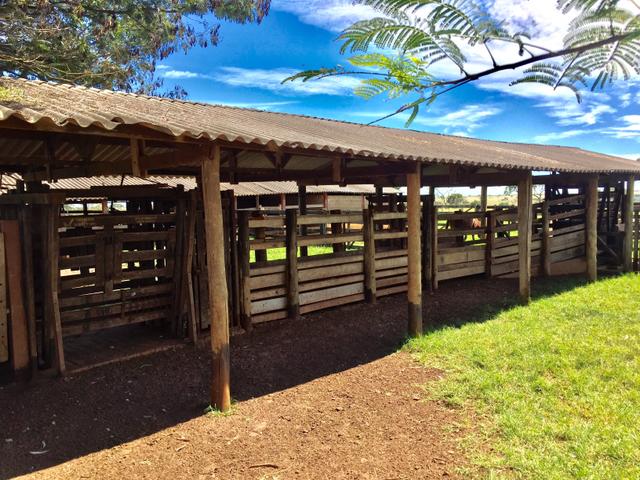 Fazenda em Frutal Minas Gerais Triângulo Mineiro - Foto 13